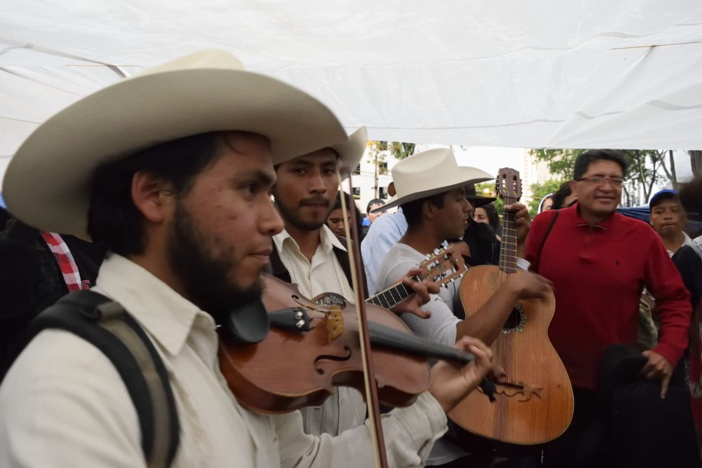 maestros fandango musicos