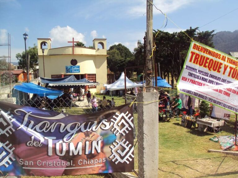 Economías solidarias en Pandemia: Tianguis Tumin San Cristóbal